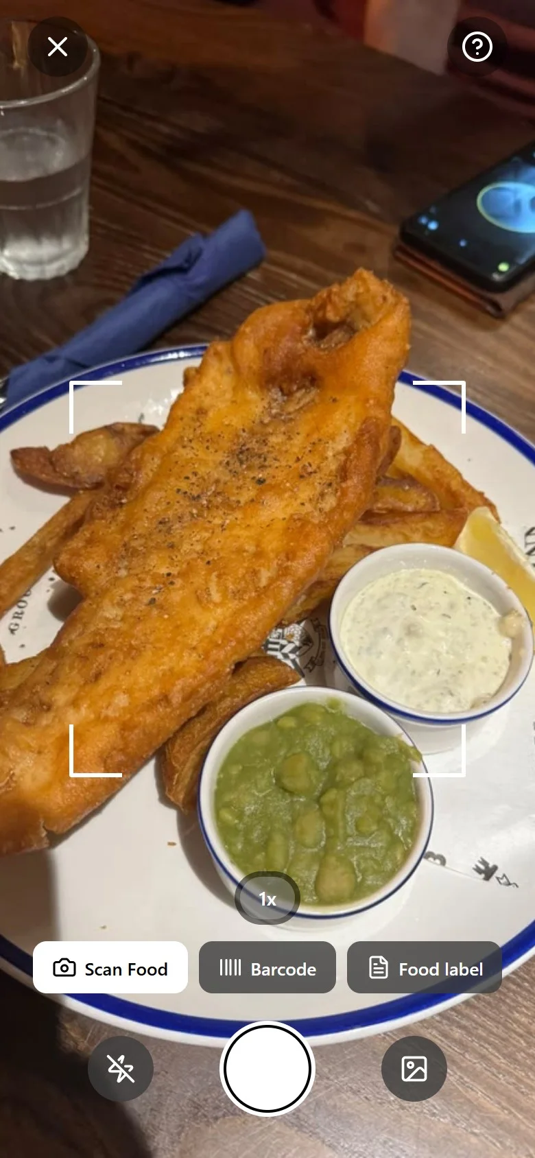 The ZenFast food scanner pointed at a plate of salmon
